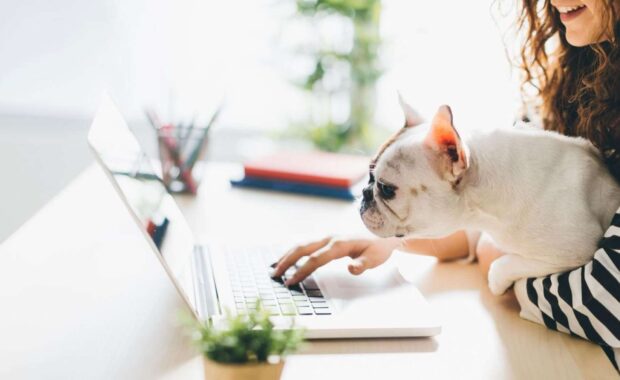 young woman holding a puppy to their laptop